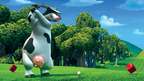 Barnyard