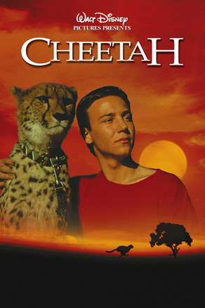 Cheetah