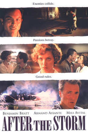After the Storm (2001)