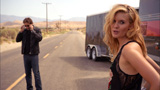 Californication Returns