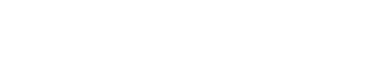 The Fourth Estate