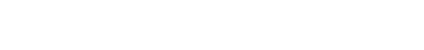 Who Is America?