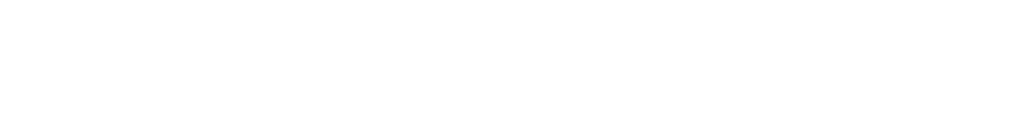 The 12th Victim