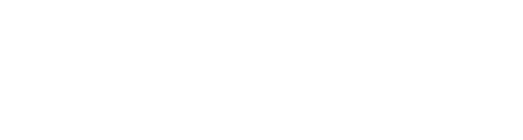The Man Who Fell to Earth