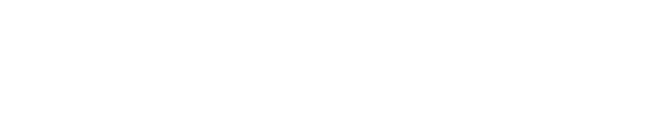 Sleeper Cell