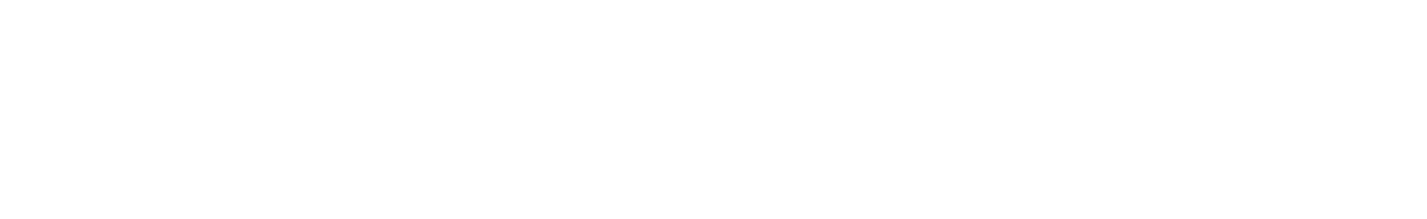 The Real L Word