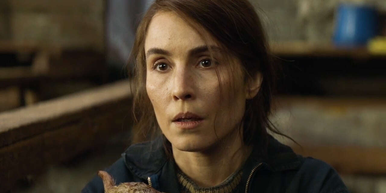 Lamb Trailer SHOWTIME